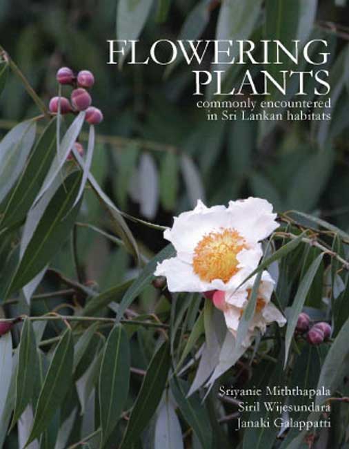Flowering Plants commonly encountered in Sri Lankan habitats